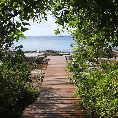 Confortable Casa En Cozumel, Condominio Con Vista Al Mar # 10 Eksteriør billede