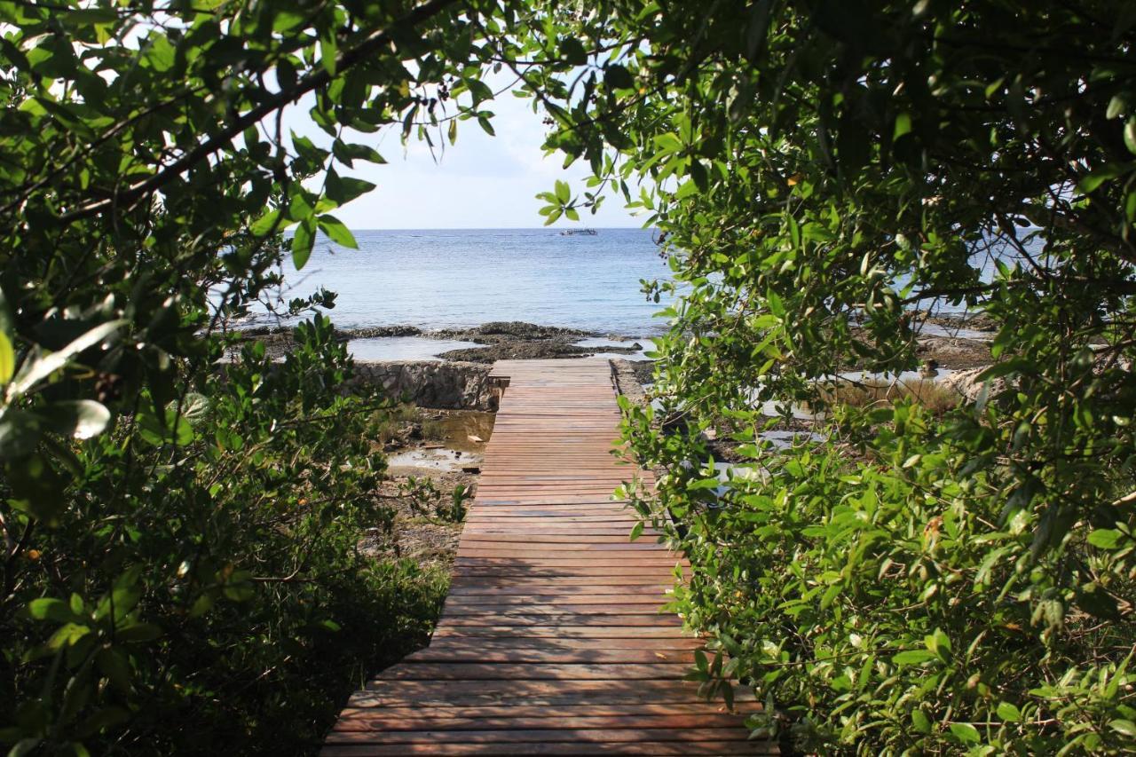 Confortable Casa En Cozumel, Condominio Con Vista Al Mar # 10 Eksteriør billede